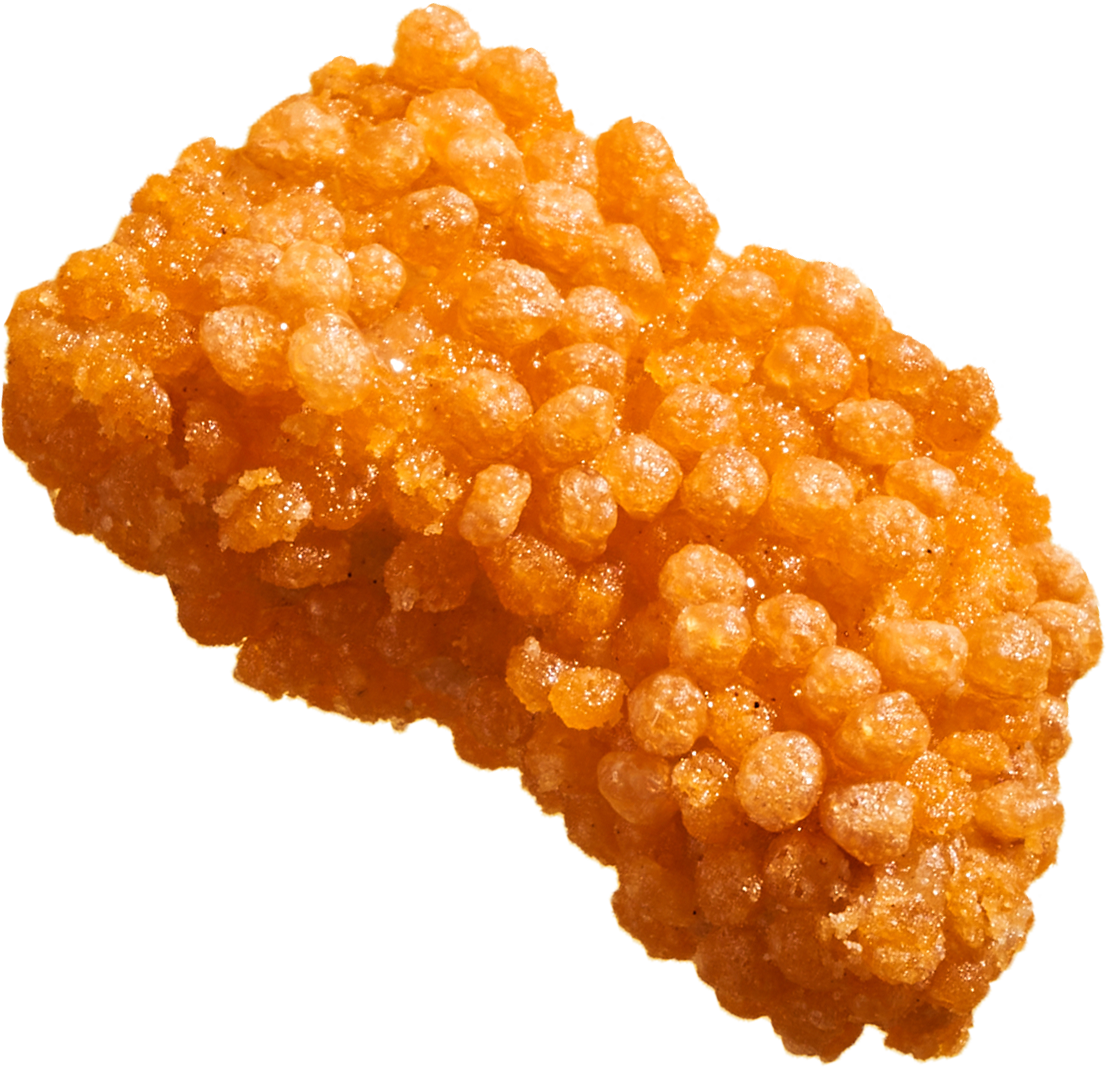 Kanzler nugget